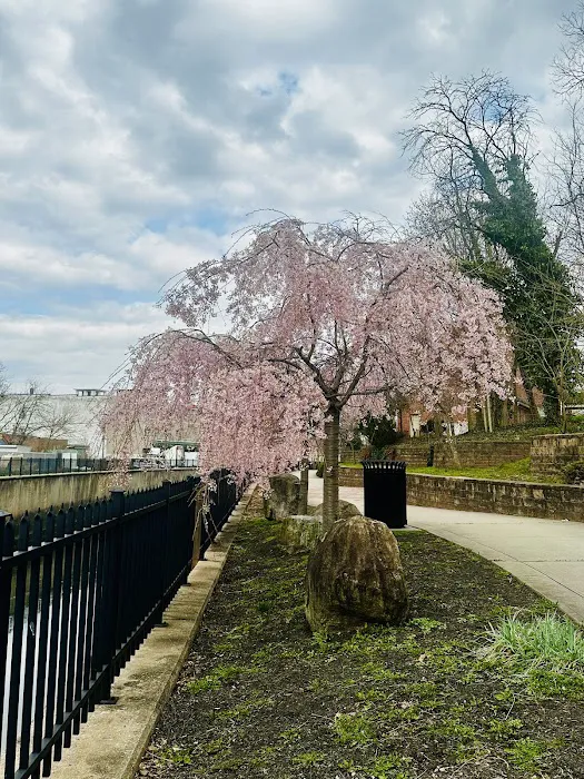 Elizabeth River Trail Picture 6