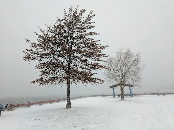 Veterans Park Picture 8