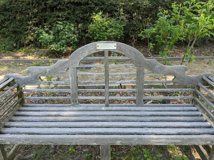 Rose Garden Picture 6