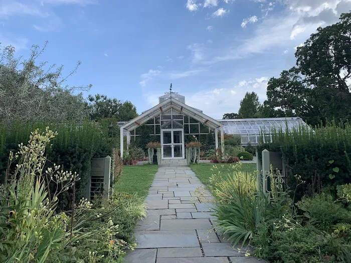 Perennial Garden Picture 9