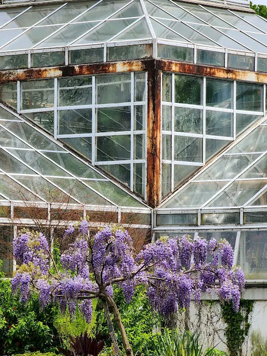 Perennial Garden Picture 2