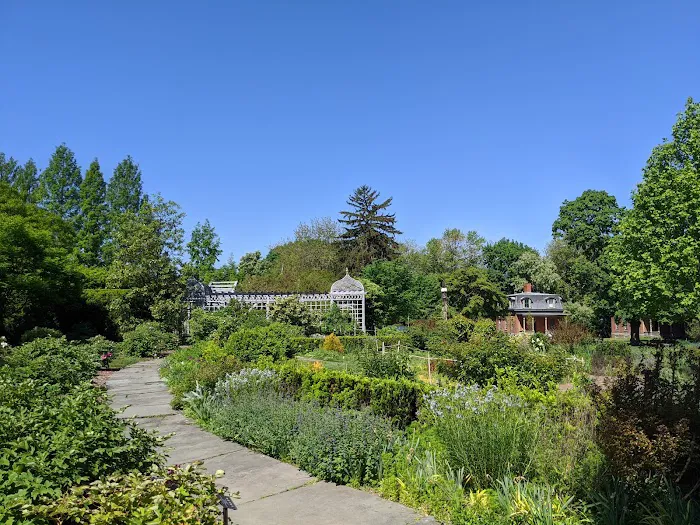 Herb Garden Picture 9