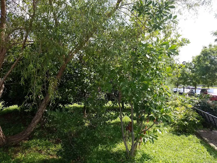 James J. Donovan Park Picture 4