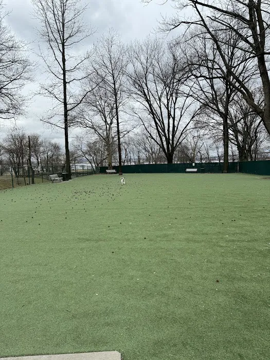 Dog Run Picture 4