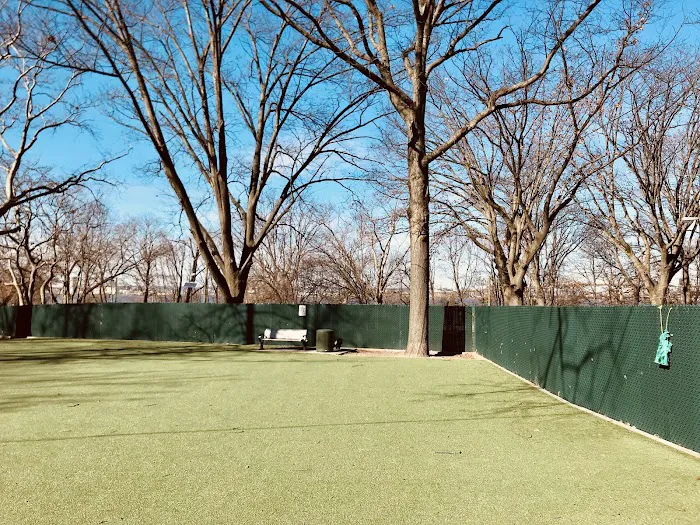 Dog Run Picture 1
