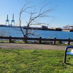 Bayonne Park