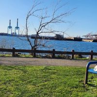 Bayonne Park ico