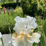 Richmond County Savings Foundation Tuscan Garden