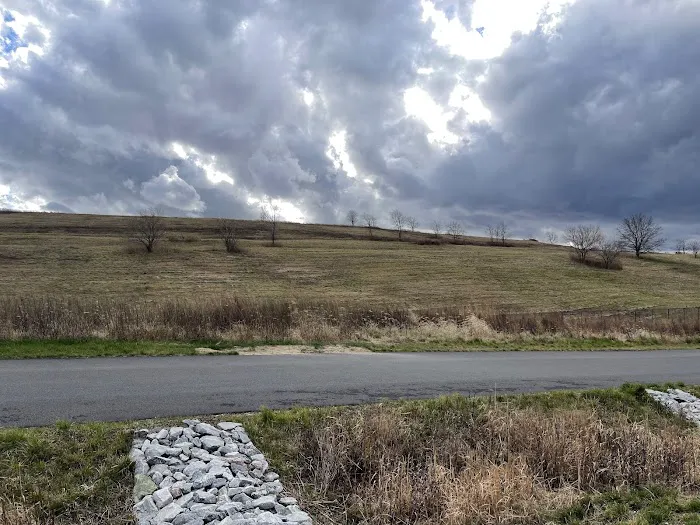 Freshkills North Park Picture 4