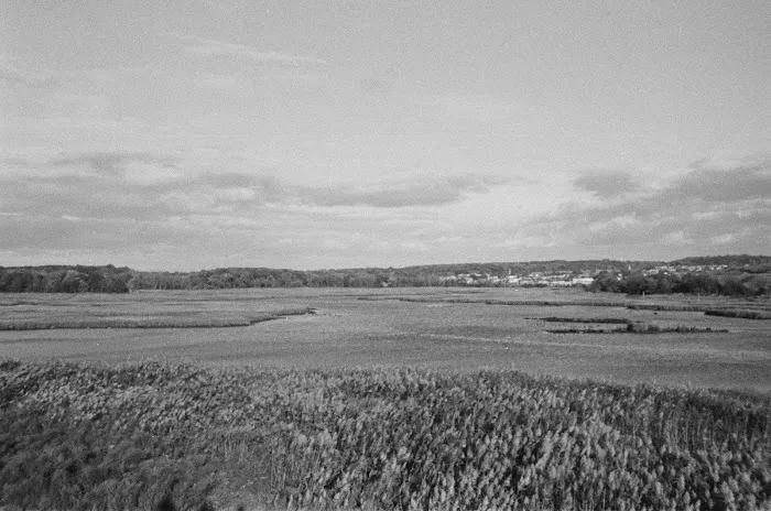 Freshkills North Park Picture 6