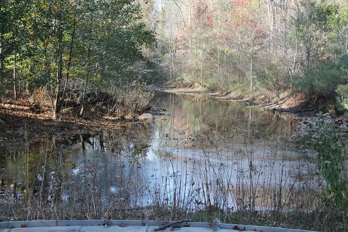 Manor Park Picture 8