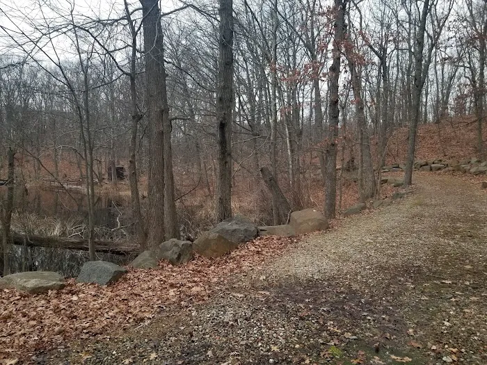 Manor Park Picture 6