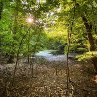 Richmond Parkway ico