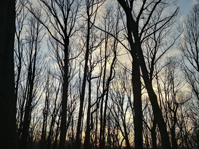 Richmond Parkway Picture 8