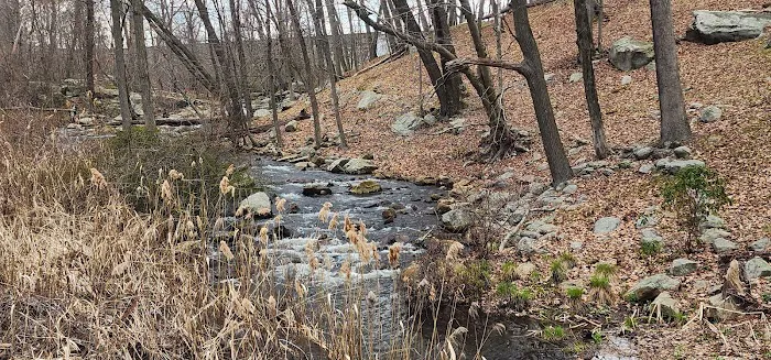 Stump Pond Picture 5