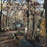 Stump Pond