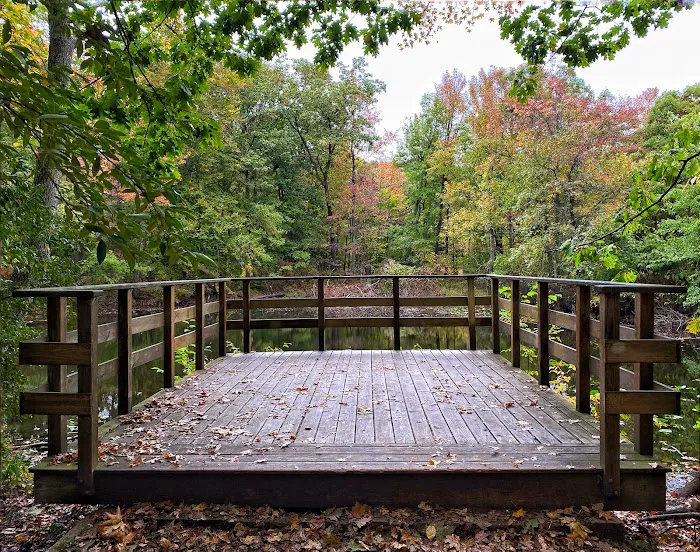 Stump Pond Picture 8