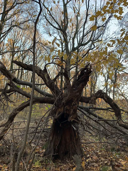 Greenbelt Conservancy Headquarters (High Rock Park) Picture 7