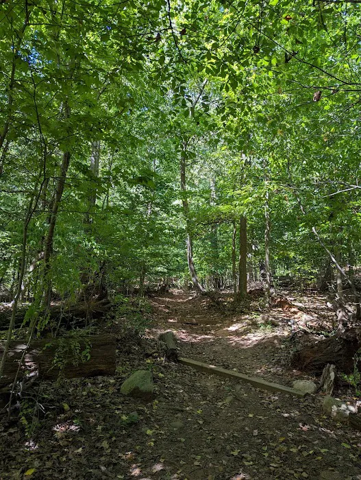 Greenbelt Conservancy Headquarters (High Rock Park) Picture 5