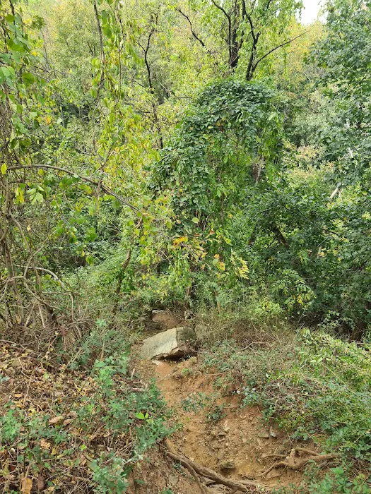 Greenbelt Conservancy Headquarters (High Rock Park) Picture 8