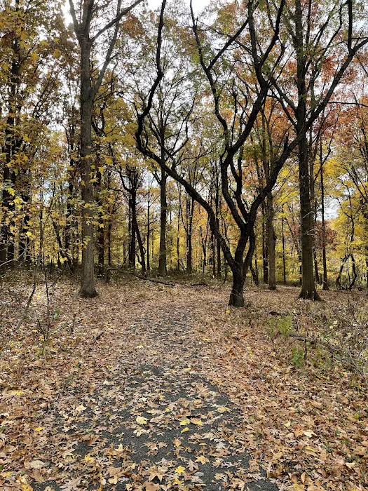 Blood Root Valley Picture 9