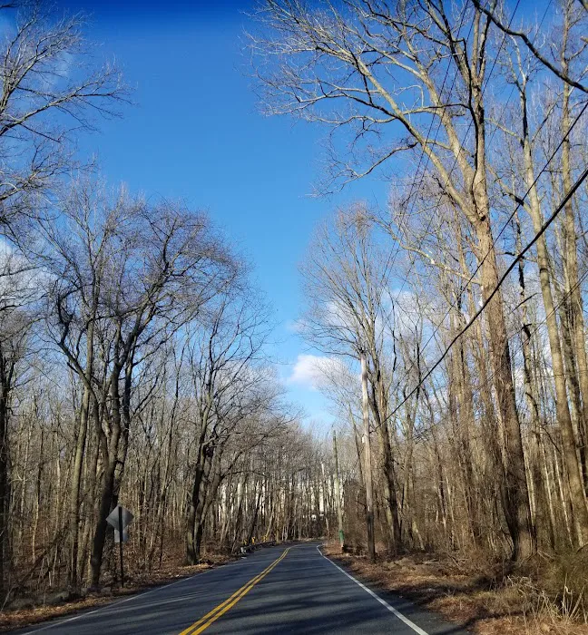 Blood Root Valley Picture 3