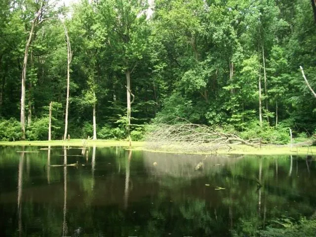 High Rock Park Picture 6