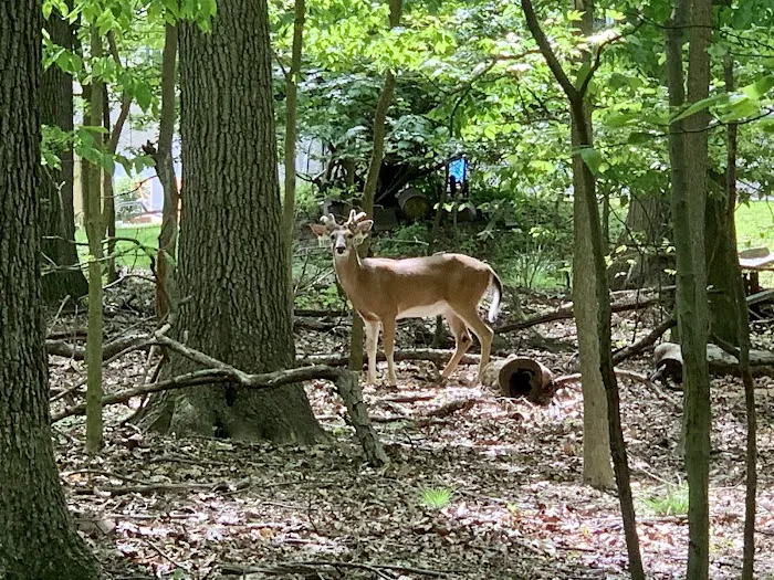 High Rock Park Picture 4
