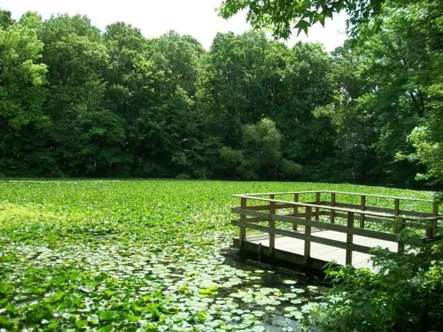 High Rock Park Picture 1