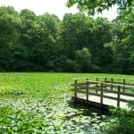 High Rock Park