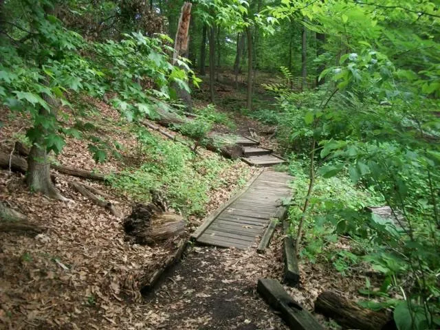 High Rock Park Picture 7