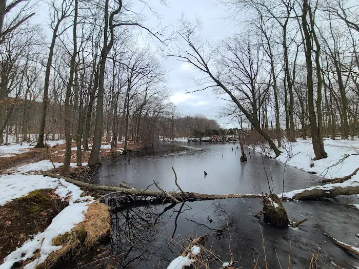 High Rock Park Picture 3