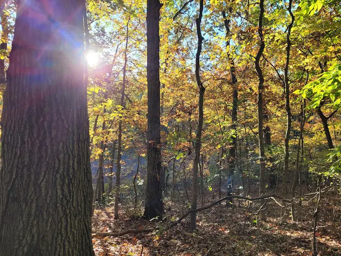High Rock Park Picture 8