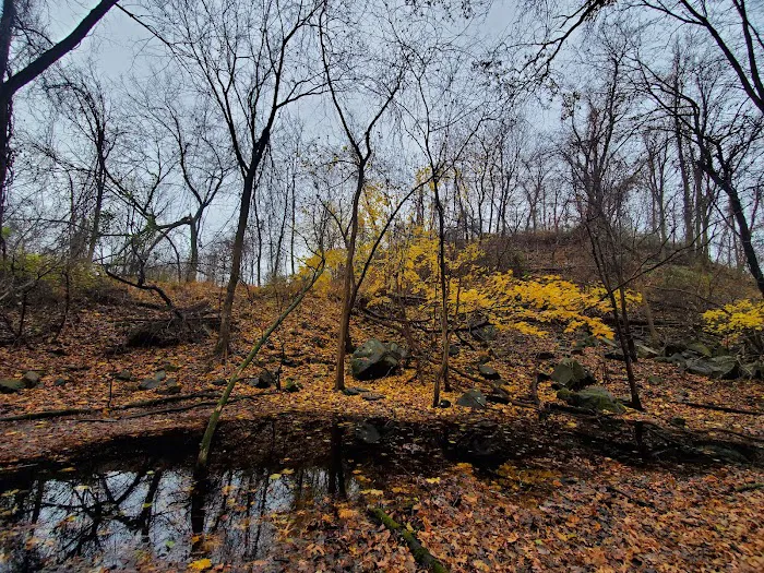 Greenbelt Nature Center Picture 4