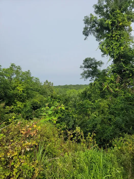 Greenbelt Nature Center Picture 3