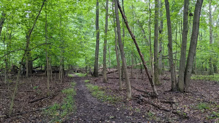 Latourette Park Picture 5