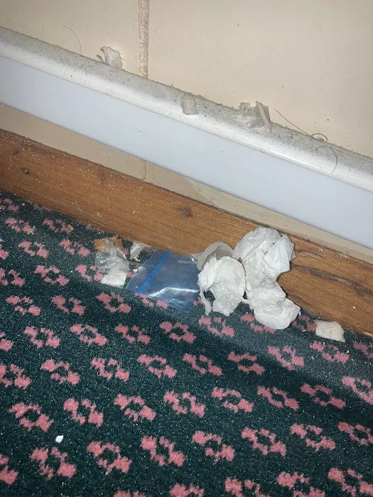Ritz Motel Picture 9