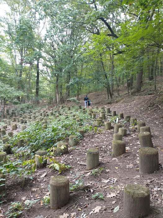 Jones Woods Park Picture 6