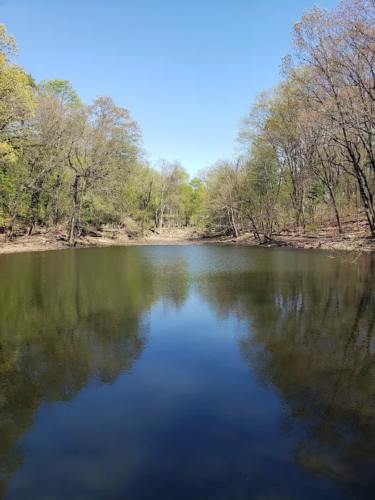 Jones Woods Park Picture 10
