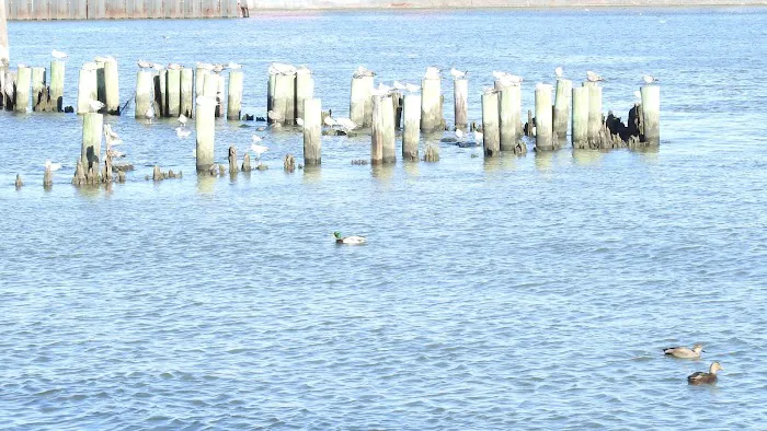 CASPER'S COVE in Stapleton Waterfront Park Picture 10