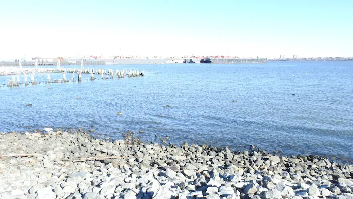 CASPER'S COVE in Stapleton Waterfront Park Picture 8