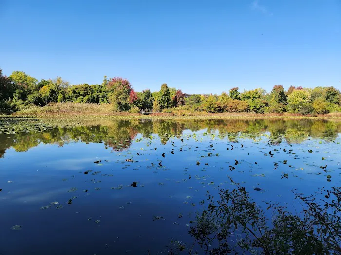 Eibs Pond Park Picture 1