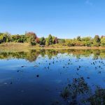 Eibs Pond Park