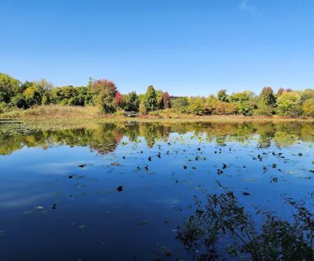 Eibs Pond Park