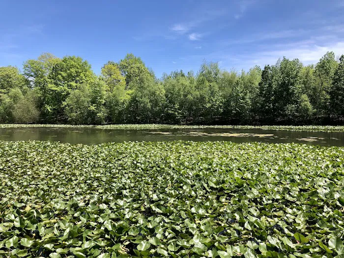 Eibs Pond Park Picture 5