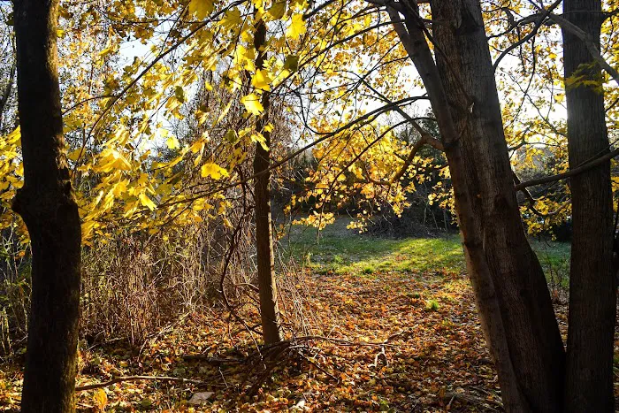 Eibs Pond Park Picture 7