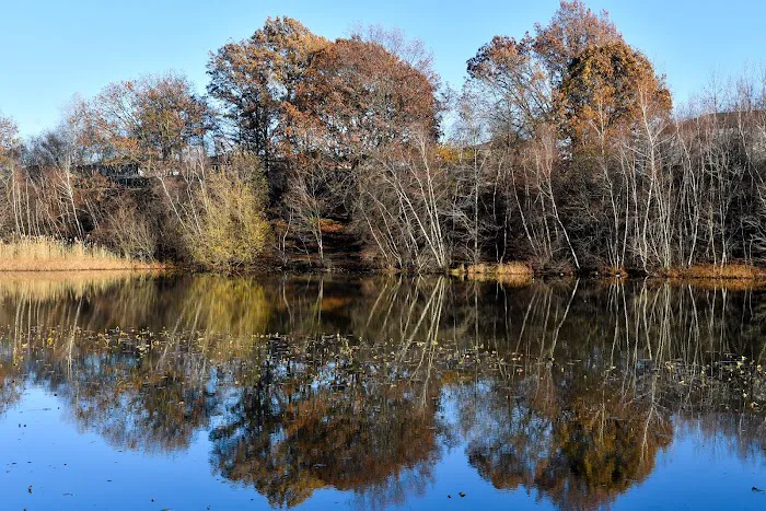 Eibs Pond Park Picture 8