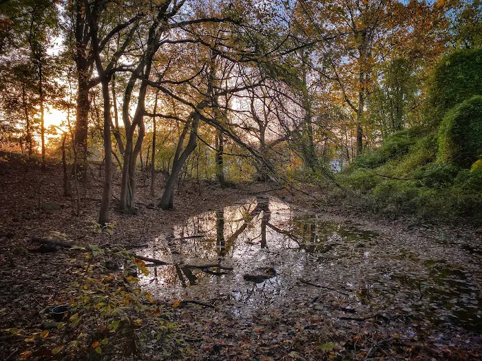 Brady's Pond Park Picture 1