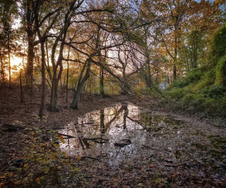 Brady's Pond Park