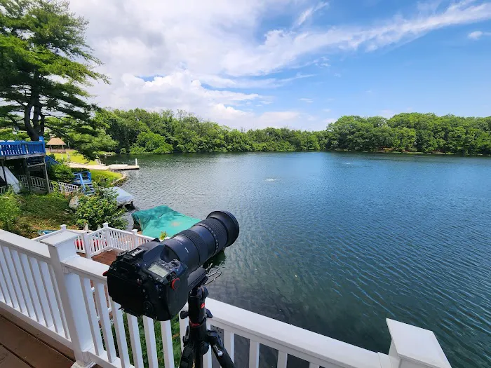 Brady's Pond Park Picture 6